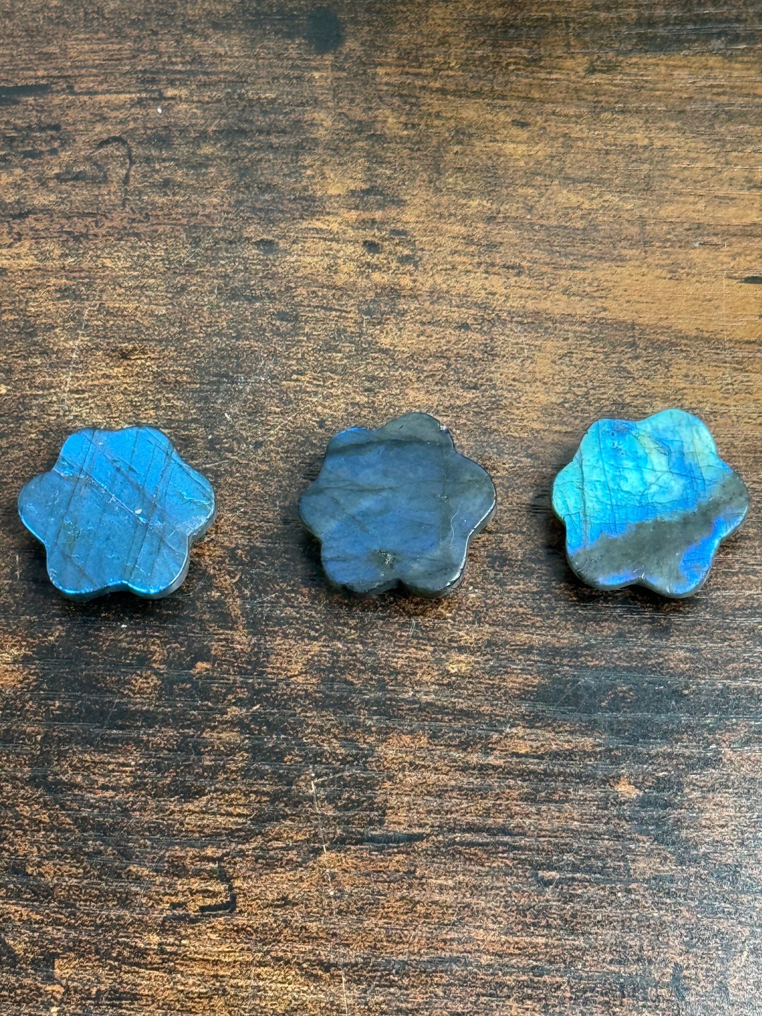 Labradorite paw print