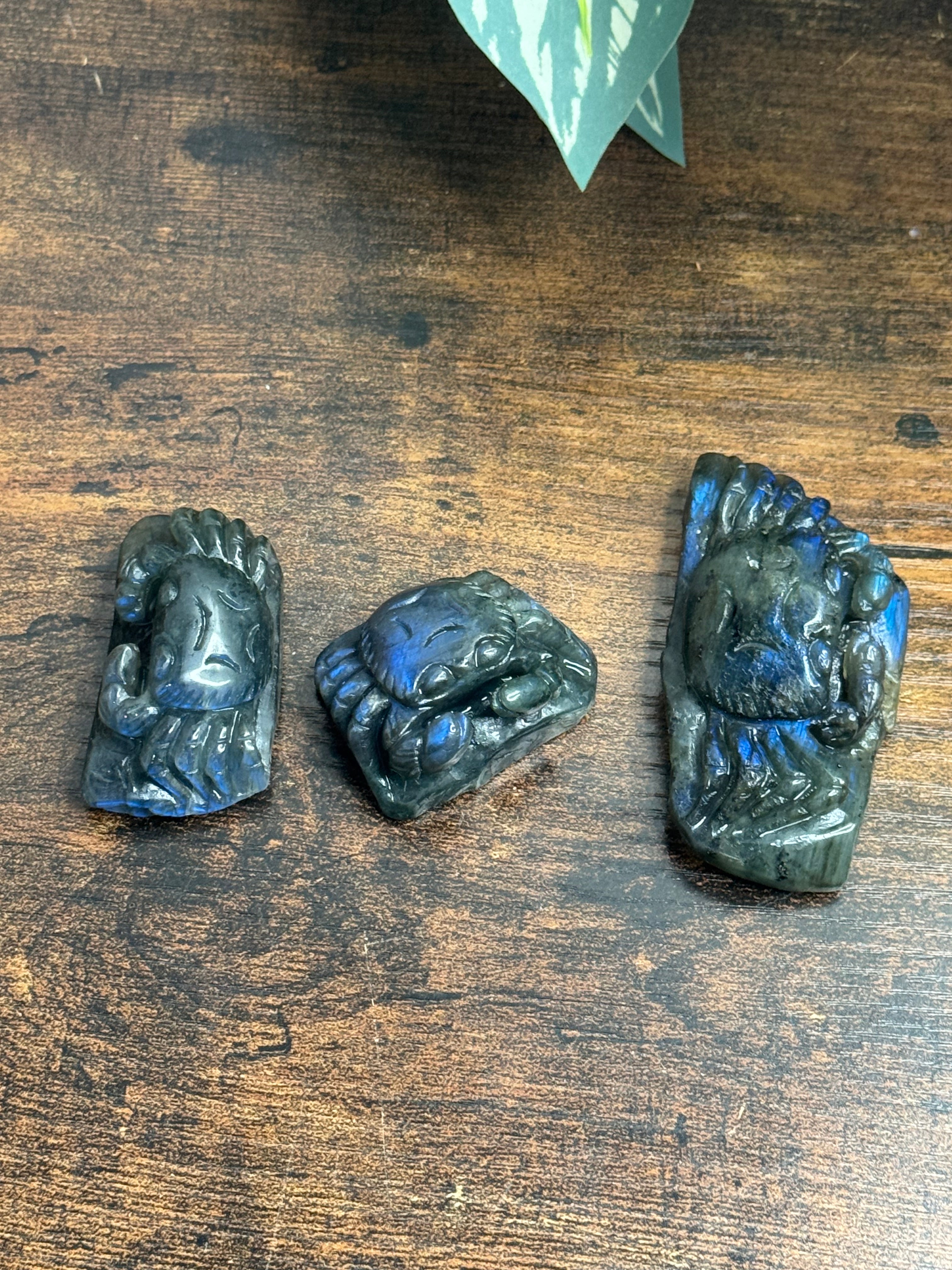 Labradorite crabs