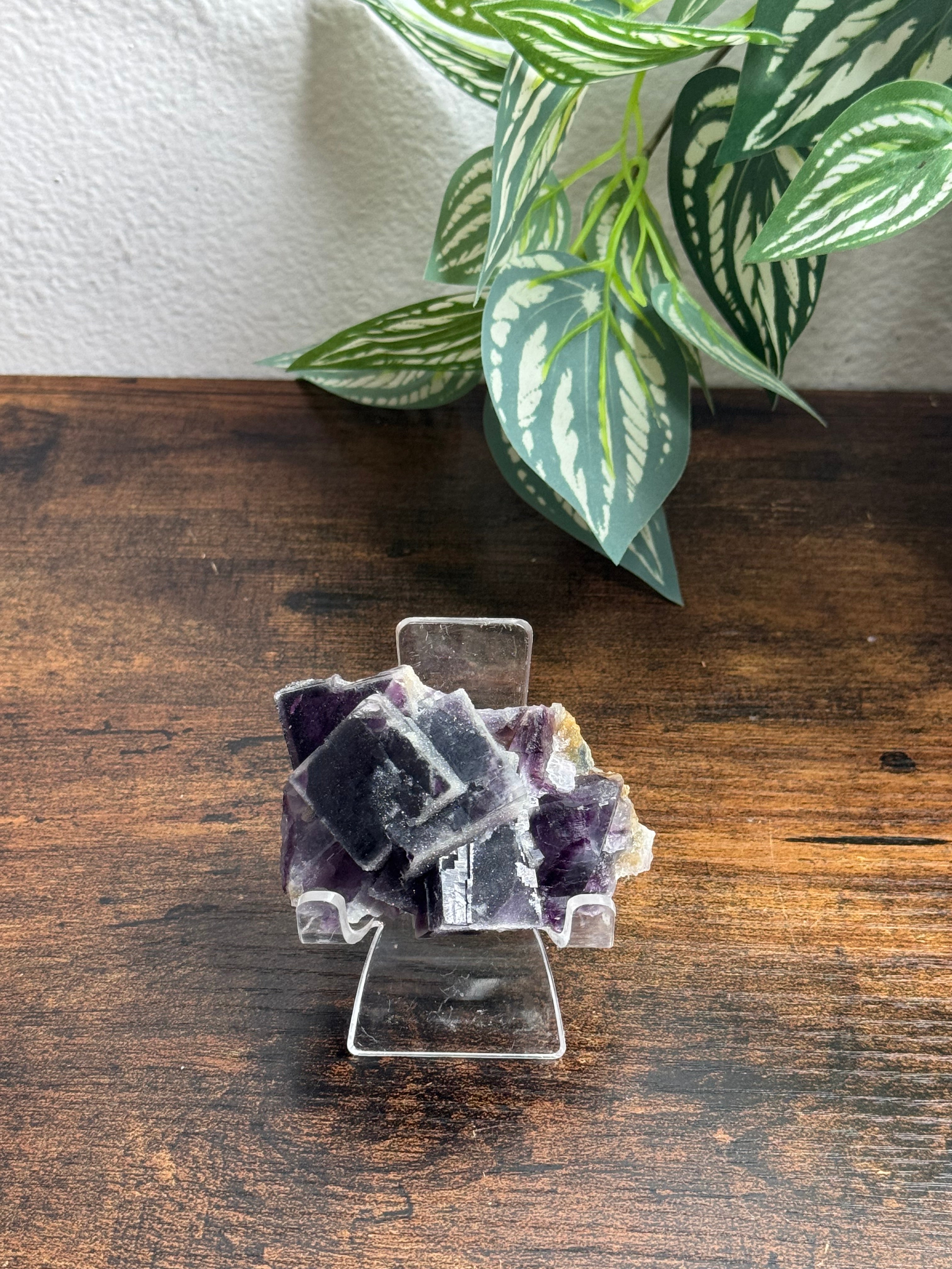 Purple Fluorite