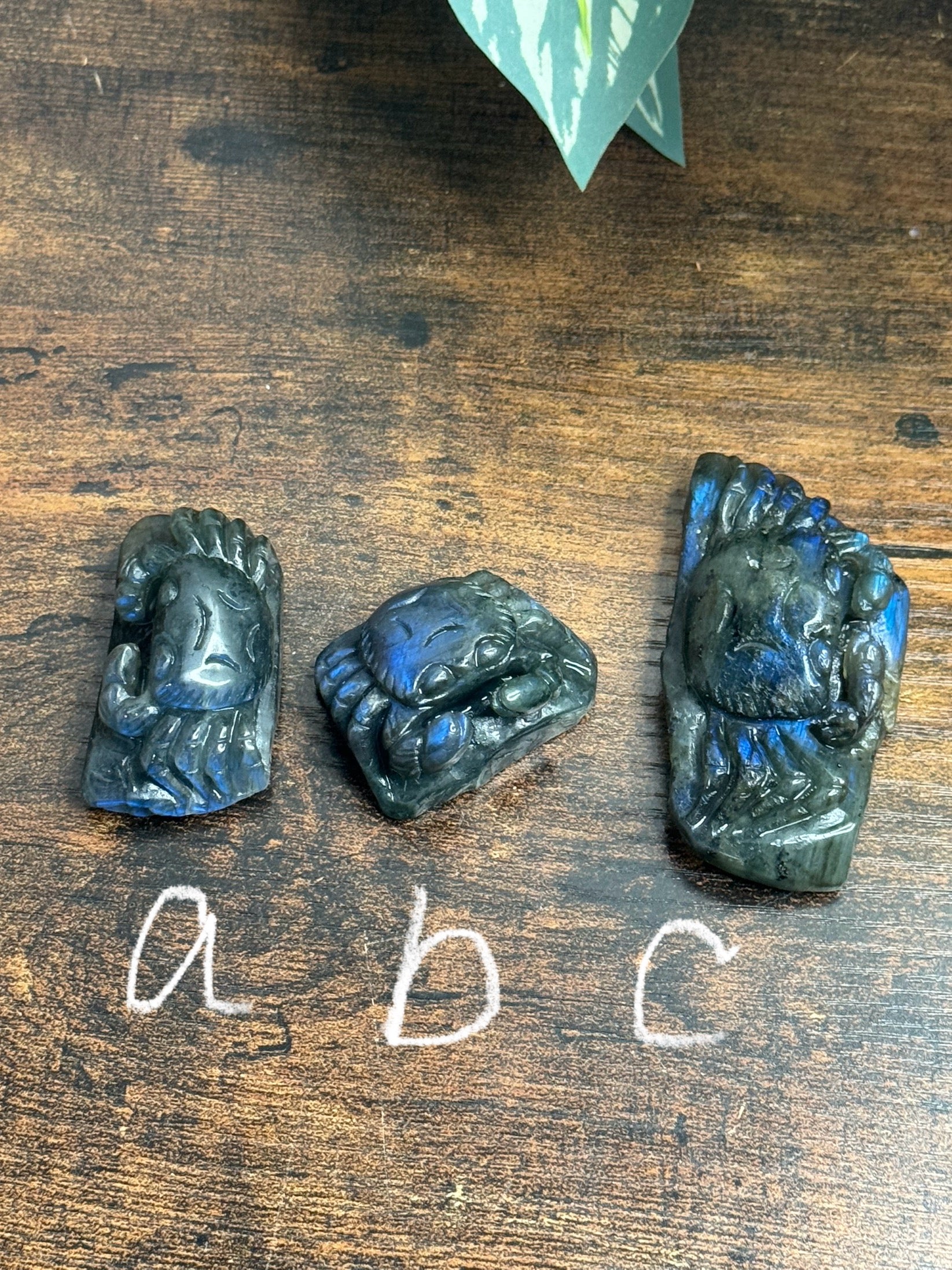Labradorite crabs