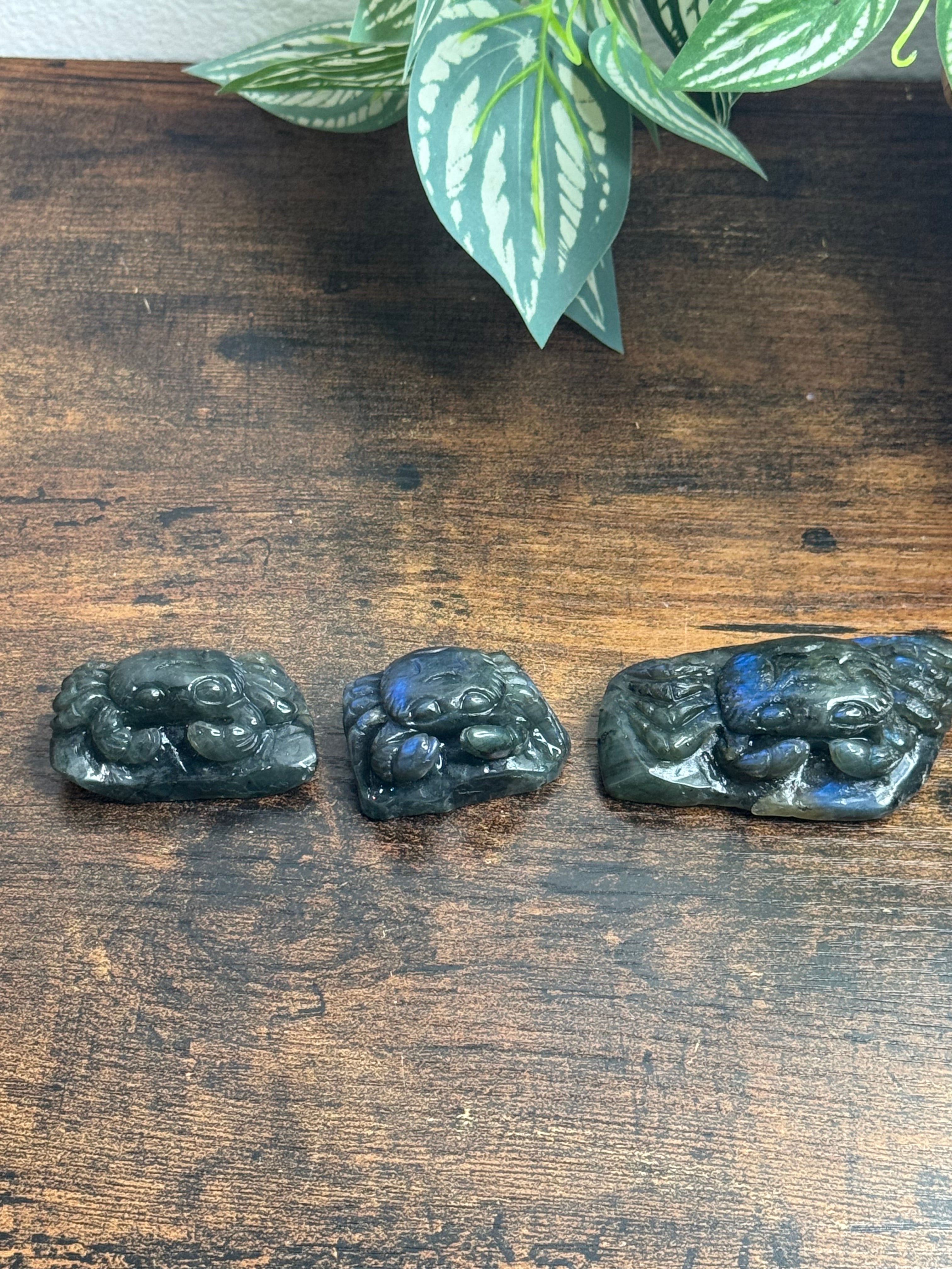 Labradorite crabs