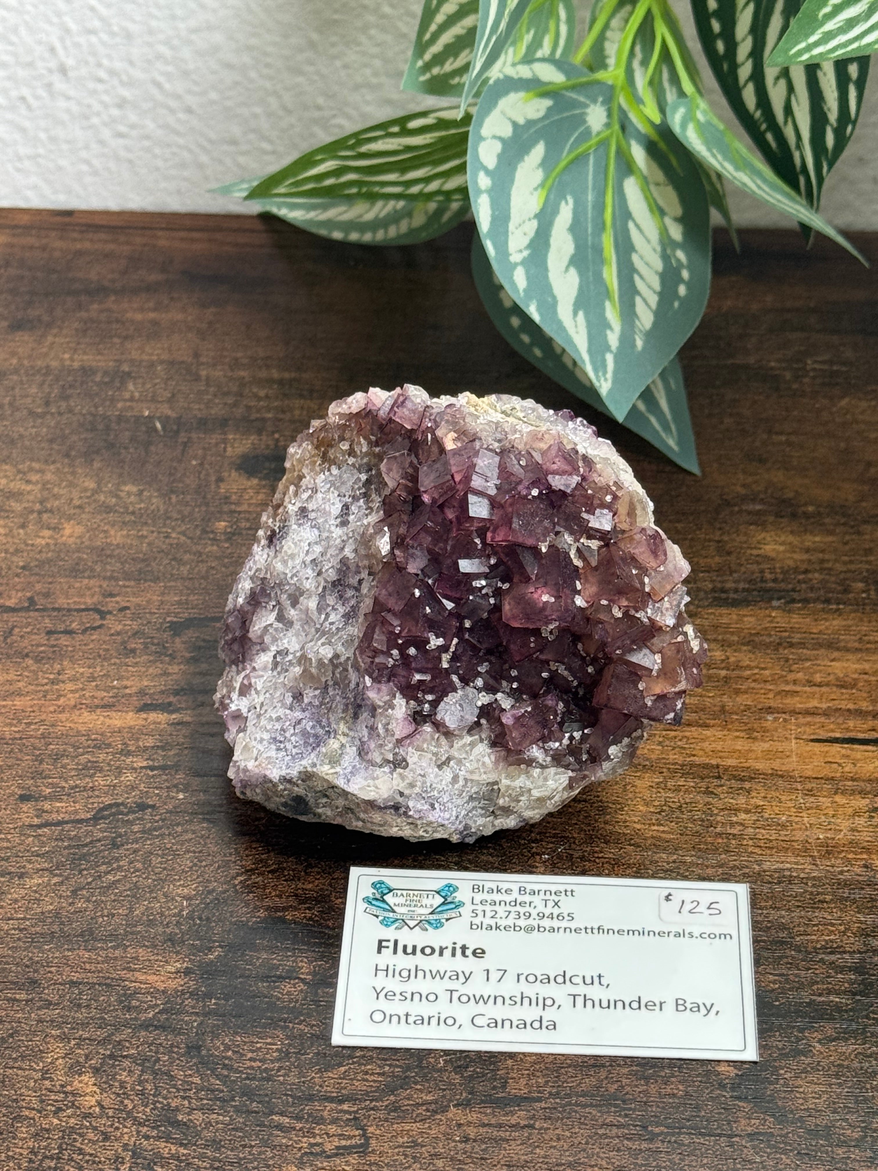 Thunder Bay fluorite