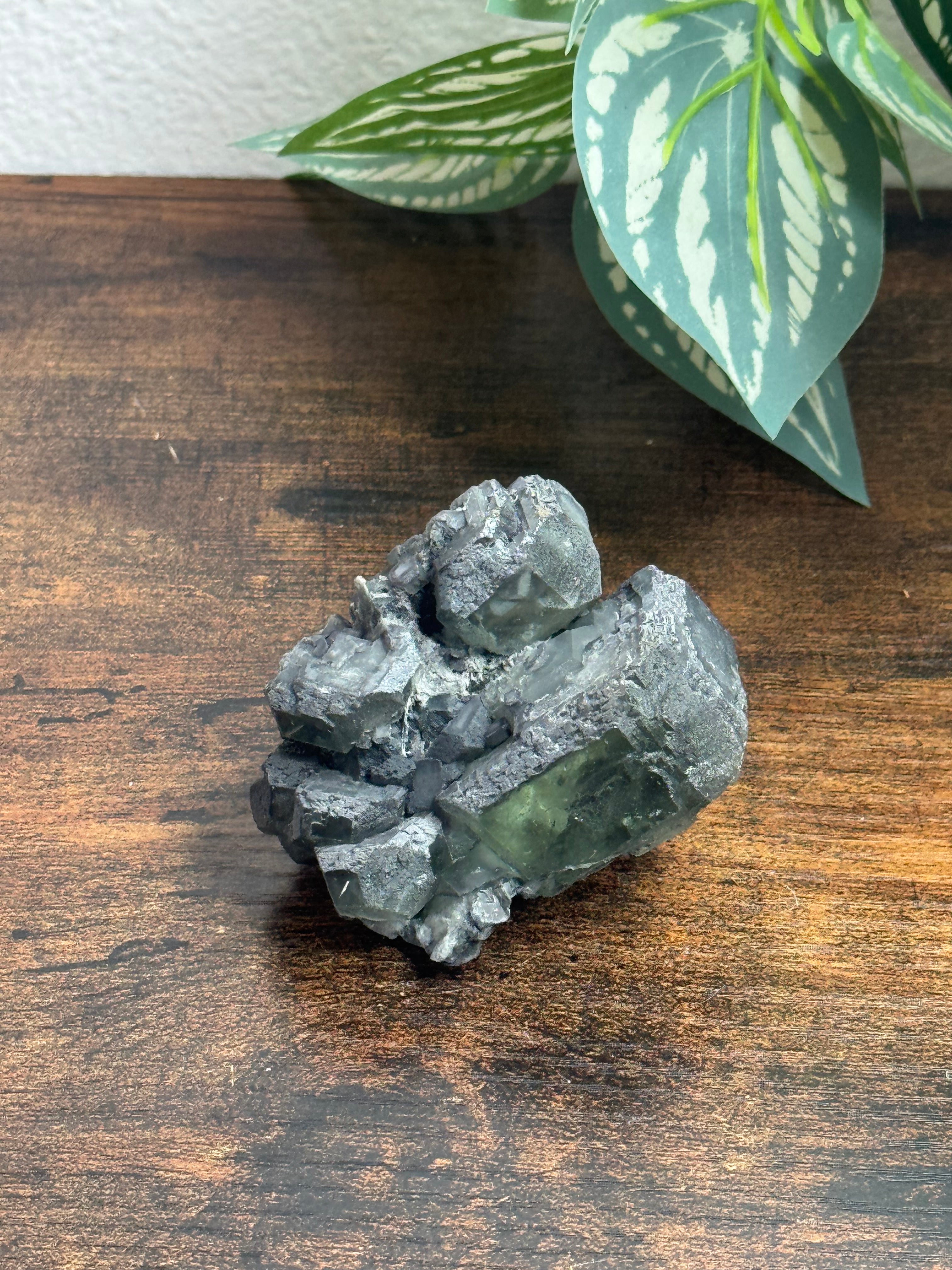 Window Green Fluorite