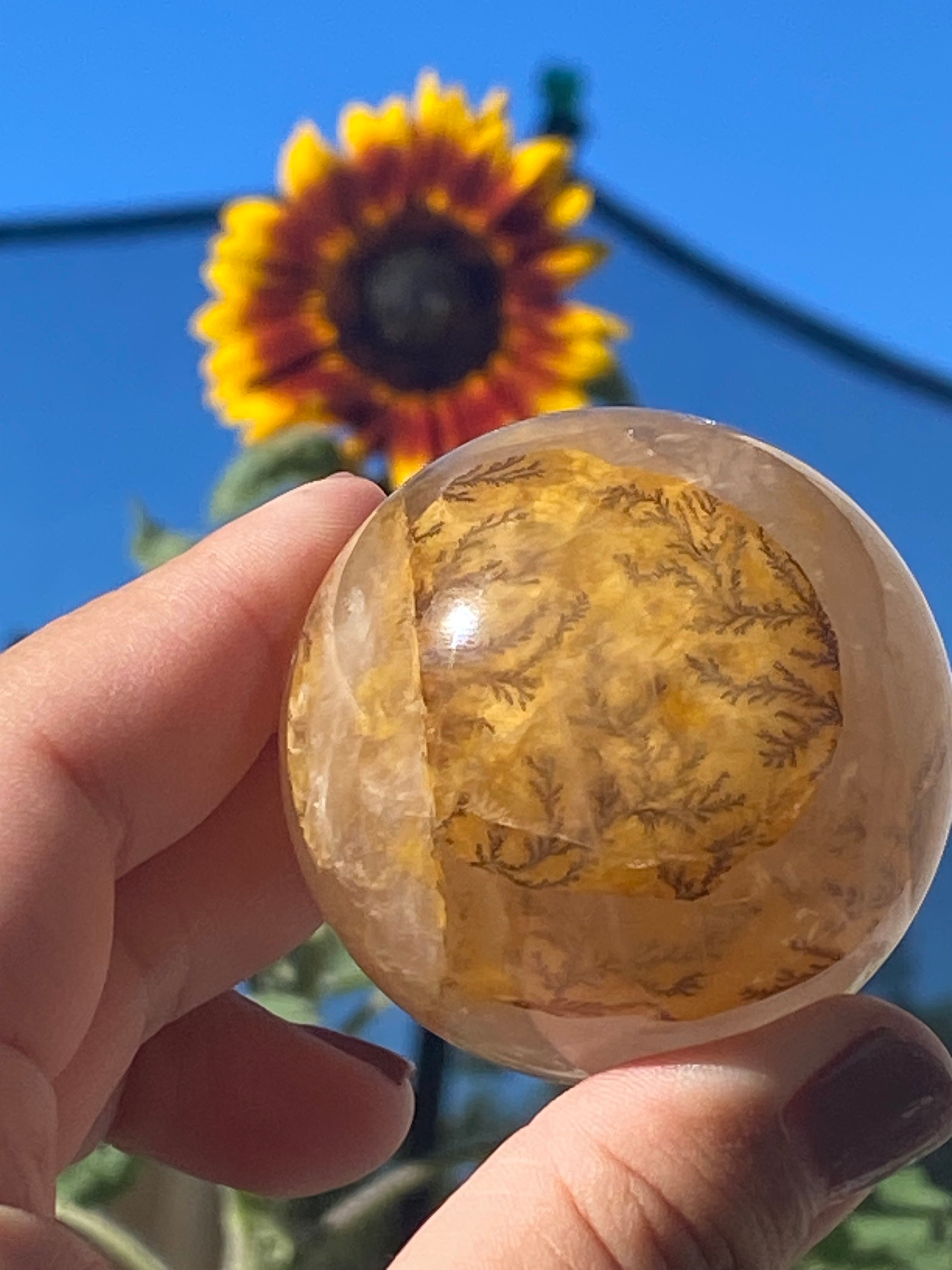 DENDRITIC QUARTZ GOLDEN HEALER HIGH GRADE