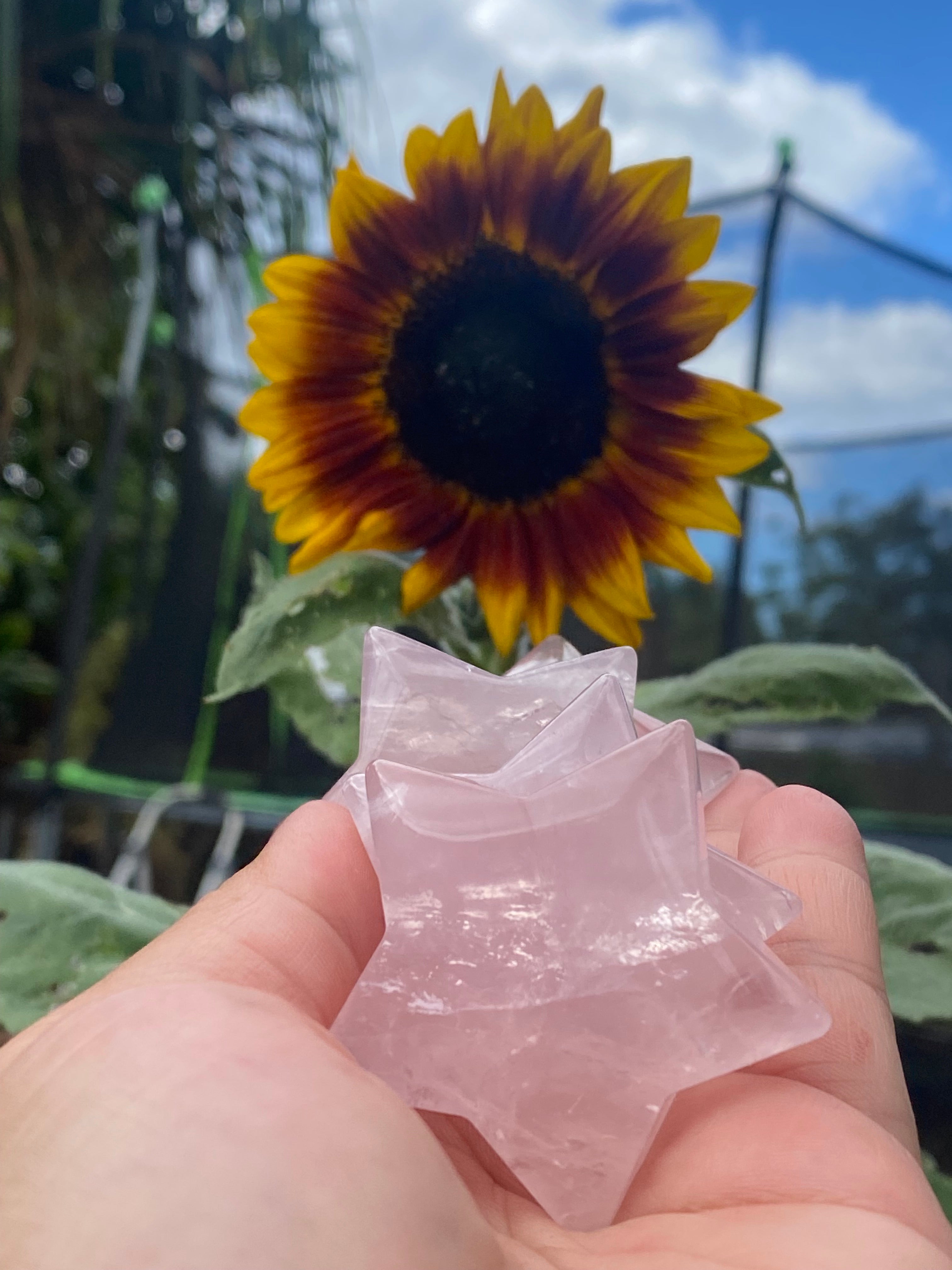 MOZAMBIQUE ROSE QUARTZ STAR